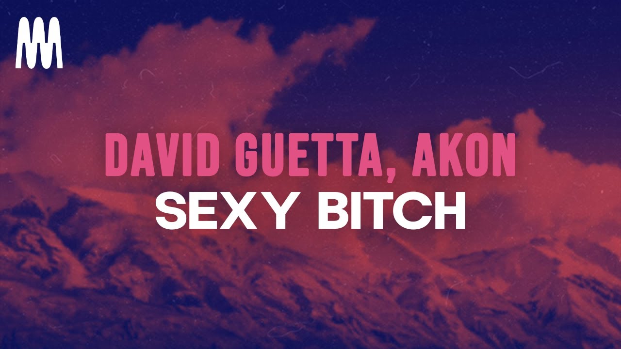 David Guetta feat. Akon - Sexy B*itch (Lyrics)