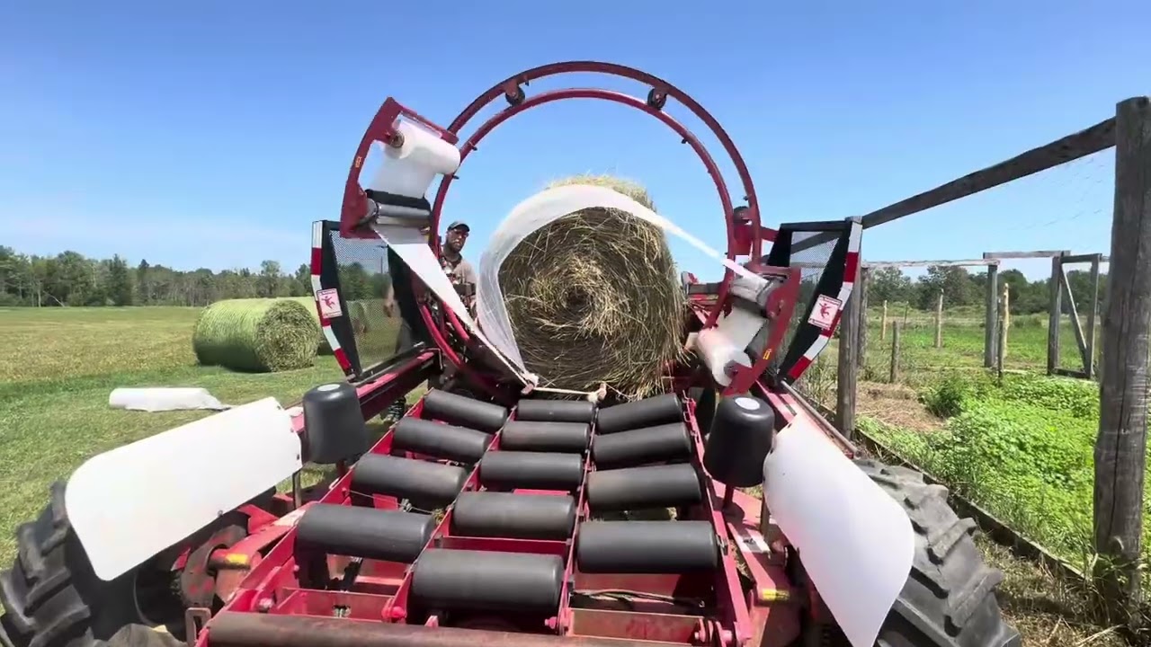 Line Wrapping Pure Alfalfa