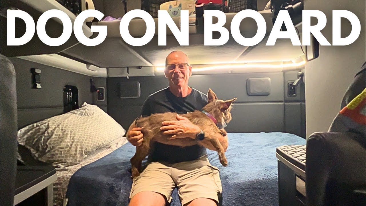Taking Our DOG on the TRUCK - What to Bring