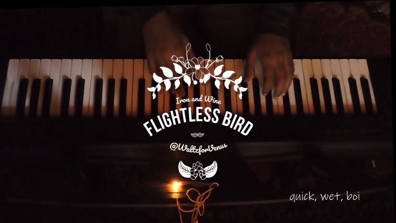 Flightless Bird (American Mouth) piano cover
