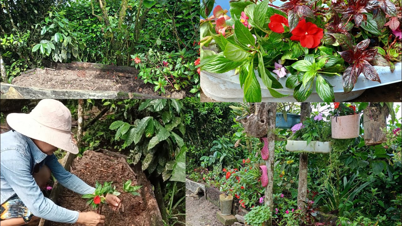REMODELANDO una parte de mi jardín 🌺 sembrando plantas🌺