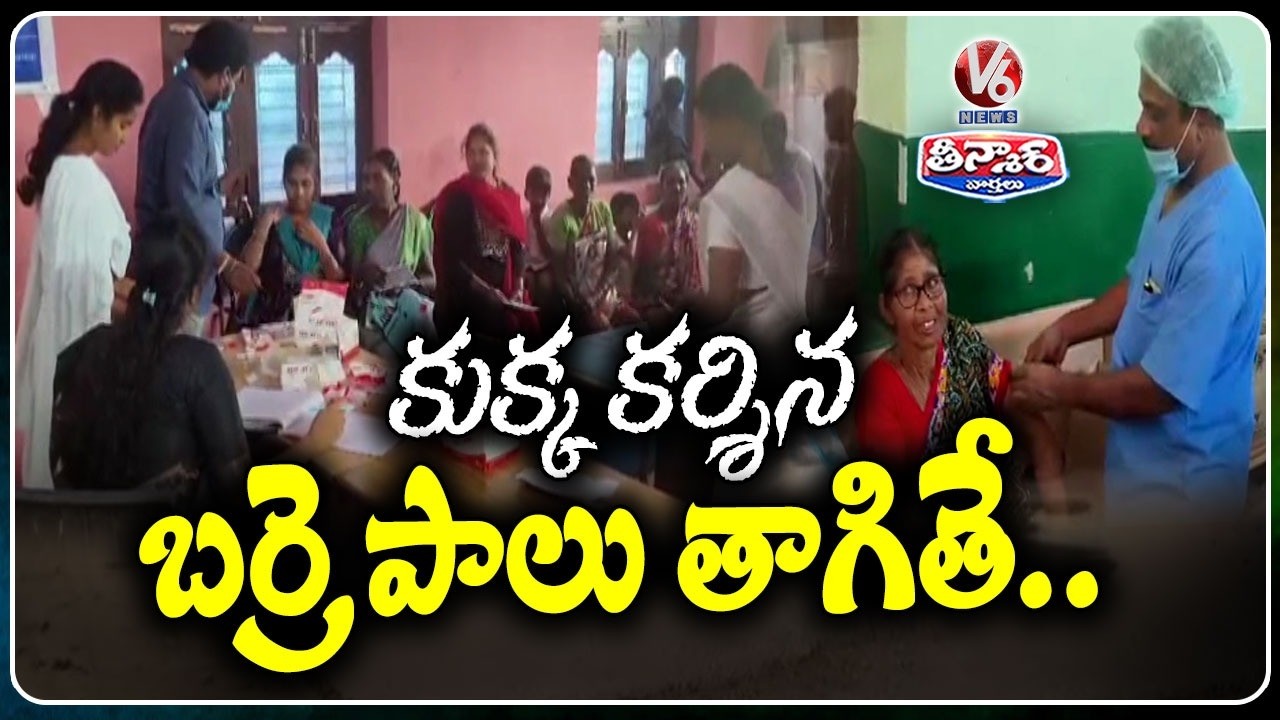 Buffalo's Dog Bite Sparks Panic : Villagers Line Up For Anti-Rabies Shots In Jagtial | V6 Teenmaar