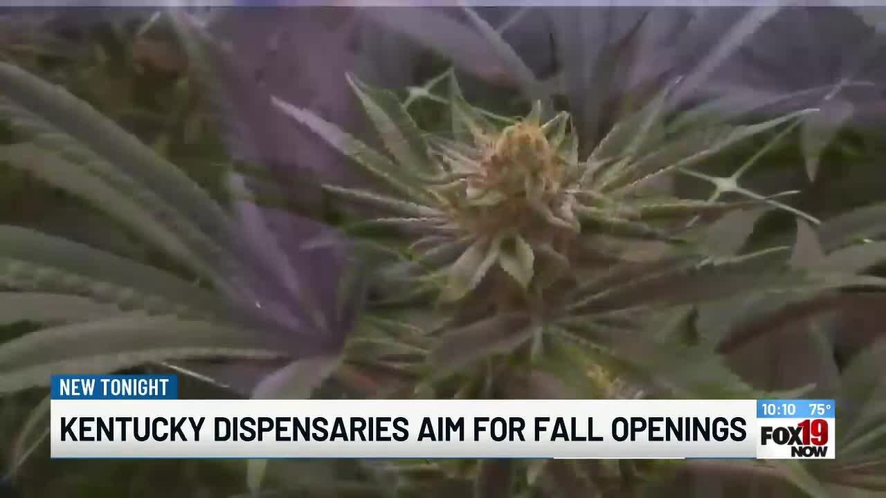 Kentucky dispensaries aim for fall openings