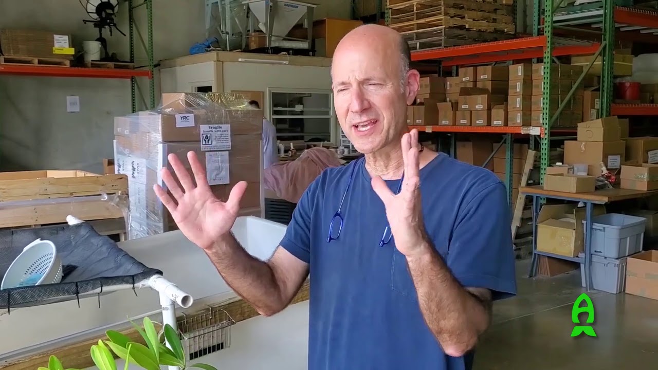 Vlog: Behind the scenes story of Mangrove Lagoon Tank at WWC.