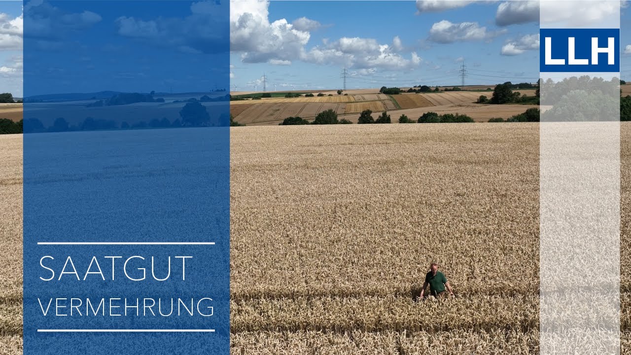 Ausgezeichnete Saatgutvermehrung: Das Rittergut Mühlenhof