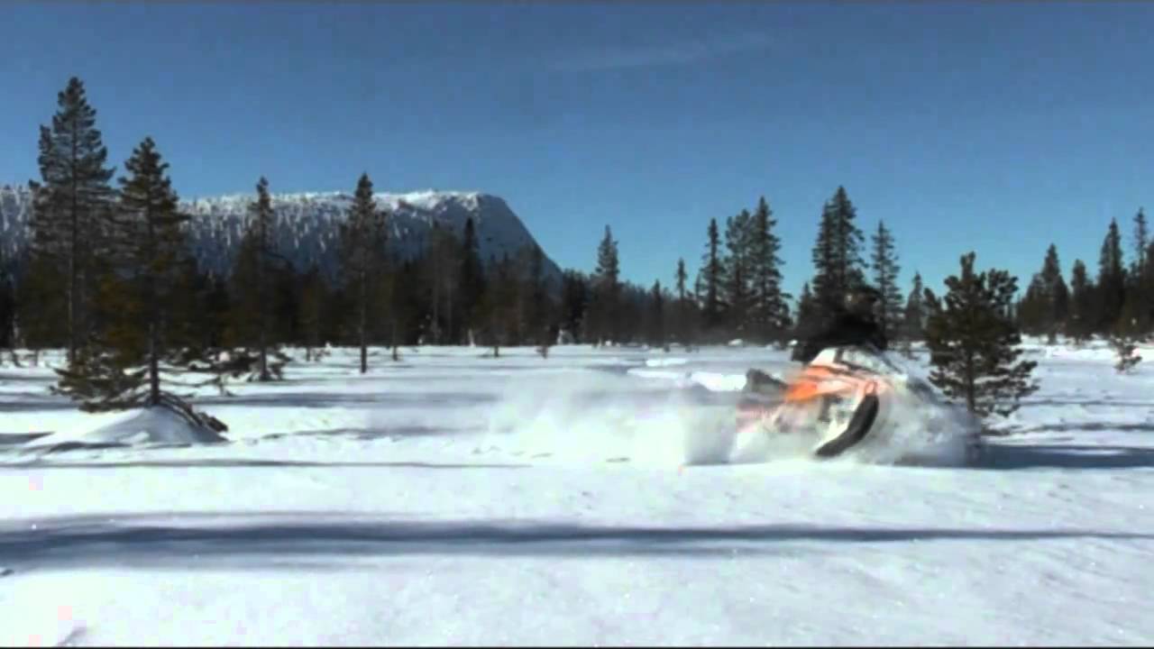 Snowmobiling in Arvidsjaur, Swedish Lapland
