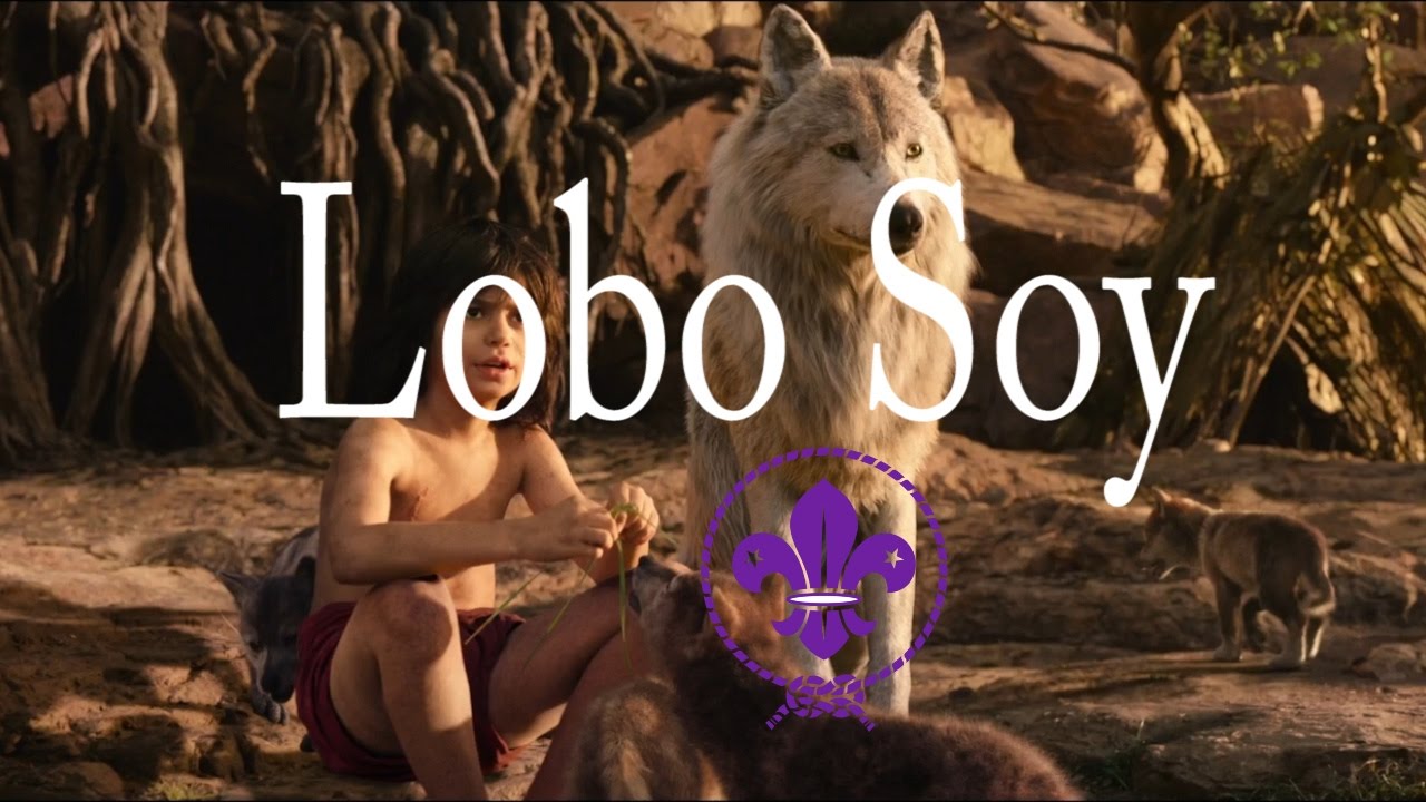 Lobo Soy | Scoutlif