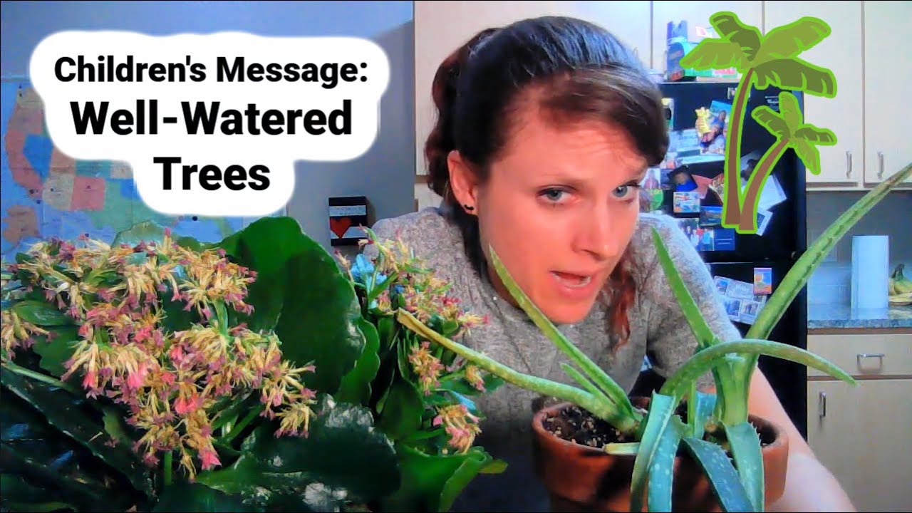 Children's Sermon Lesson: Well-Watered Trees (Psalm 1; Jeremiah 17:5-10 )
