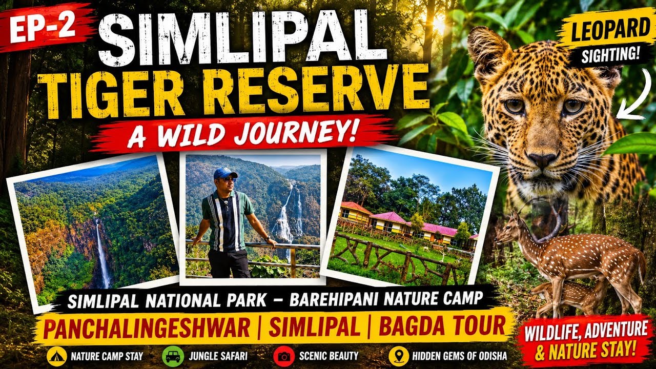 Simlipal Tiger Reserve|Jungle Safari| Barehipani Nature Camp| Leopard Sighting @Arijit'sTravelZone 