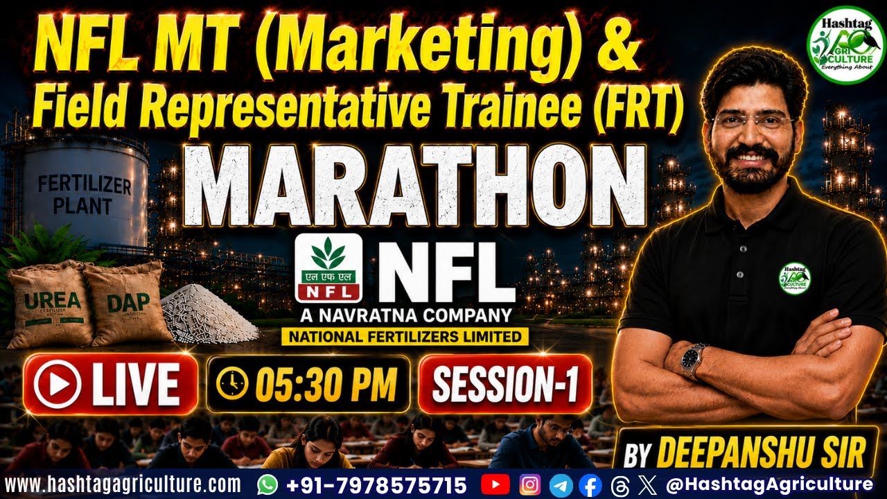 🚀Марафон по маркетингу и FRT для NFL (стажеры по менеджменту) №1 | Бесплатные занятия по FRT и ма...
