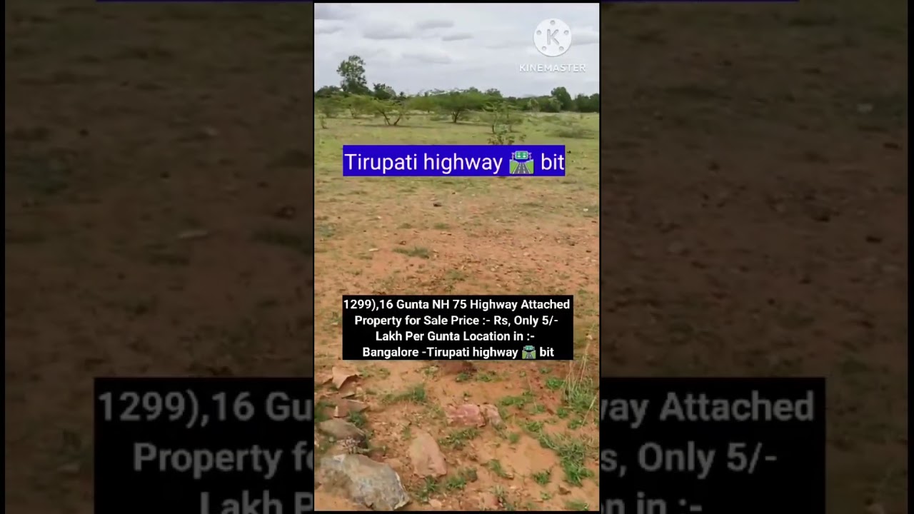 16 Guntas #farmlandforsalekolar #agriculturalland #cheapagricultural #bhaskarrealestate#99acres#land