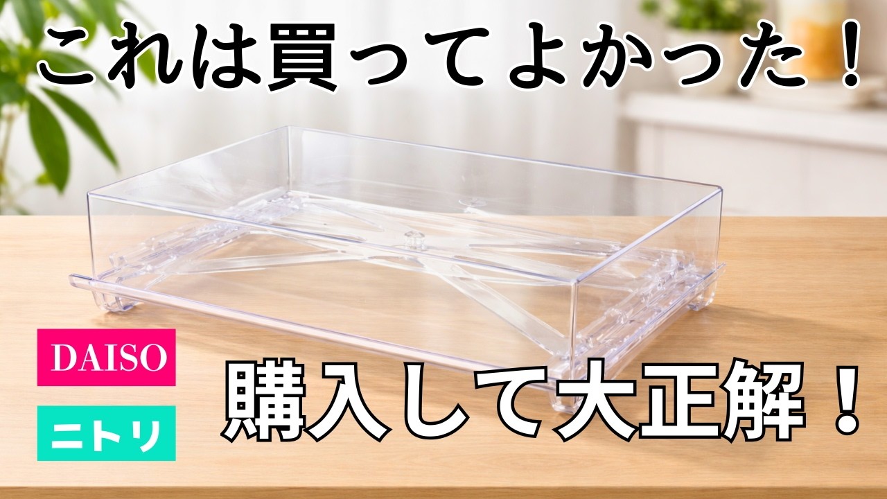 【ダイソー&ニトリ】冷蔵庫収納が激変！100均など買ってよかった収納10選