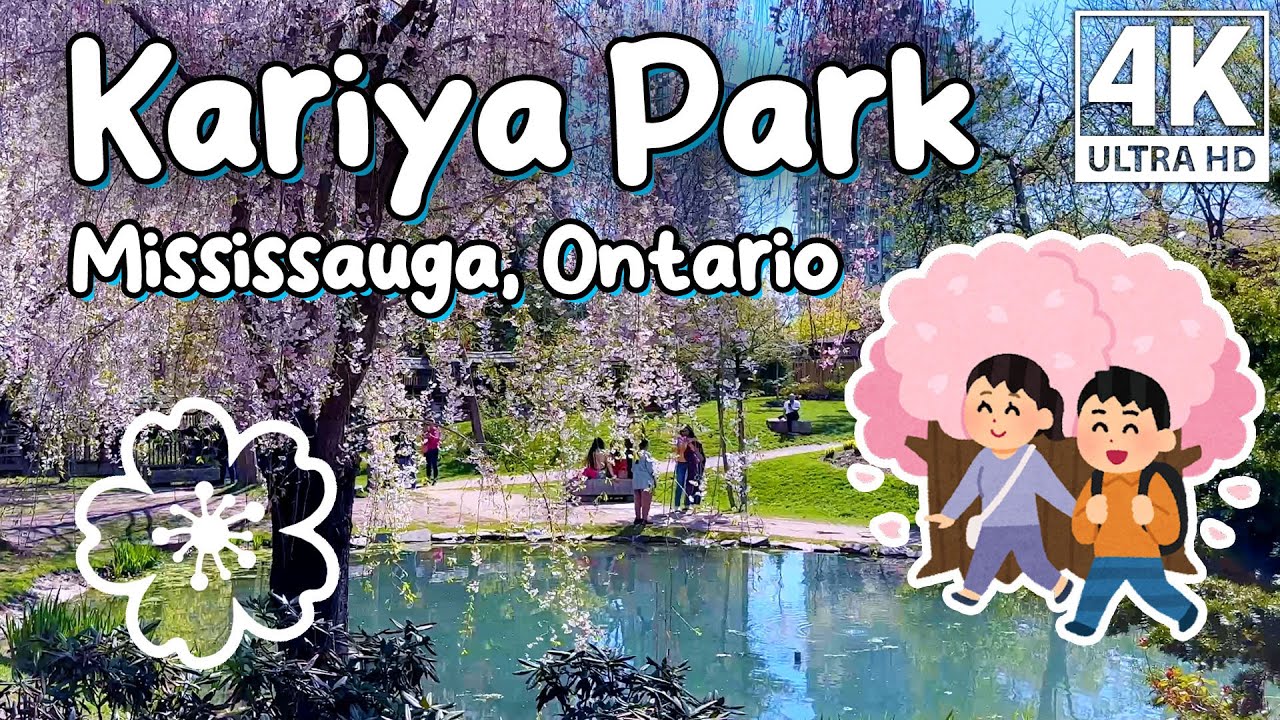 KARIYA PARK | Mississauga, Ontario 😊💖 Japanese Cherry Blossom Park in Canada