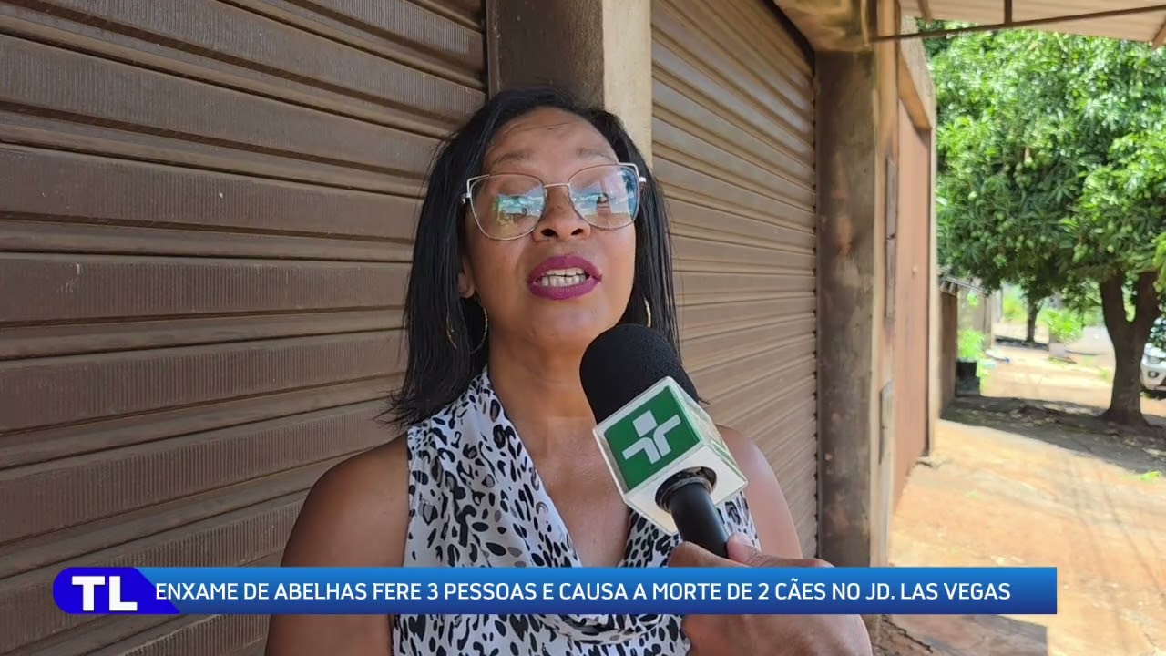 Ataque de Enxame de Abelhas em Ibiporã-PR 