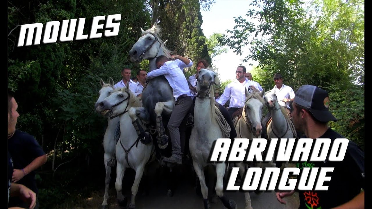 MOULES Abrivado Longue 27-08-2017 🐴