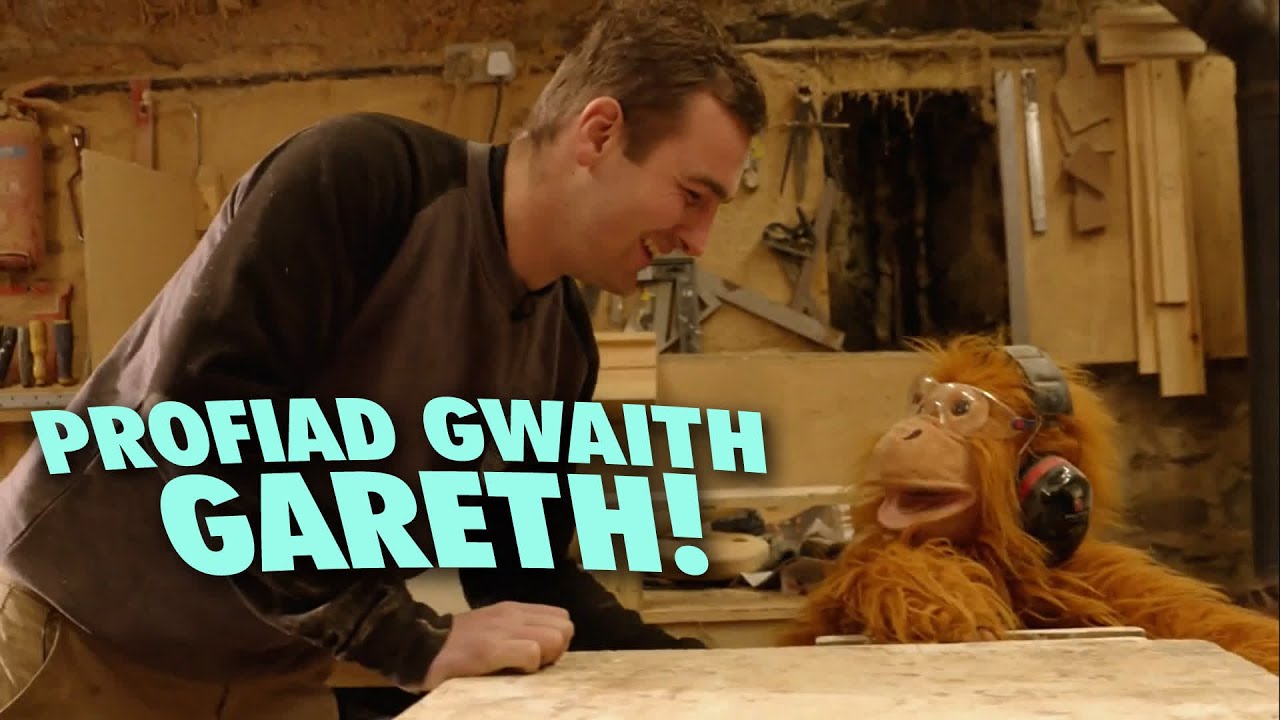 Gethin Pyrs (Saer Coed) - Profiad Gwaith Gareth!