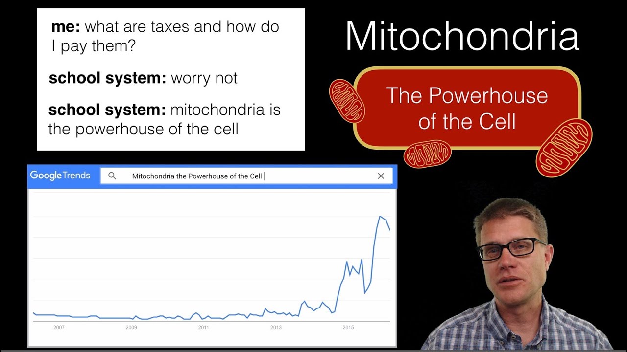 Mitochondria: The Powerhouse of the Cell