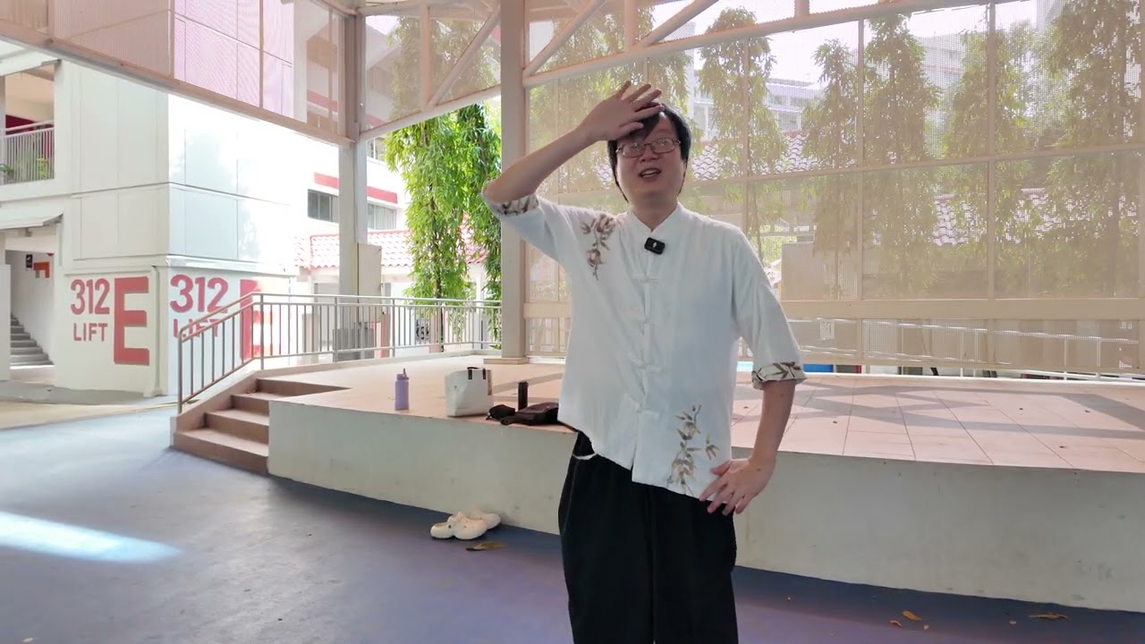 孫氏內家拳：太极拳 - 白鶴亮翅（White Crane Show Wings）1