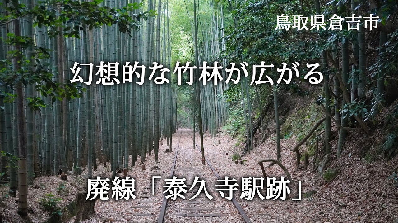 鳥取県倉吉市　幻想的な竹林が広がる廃線「泰久寺駅跡」