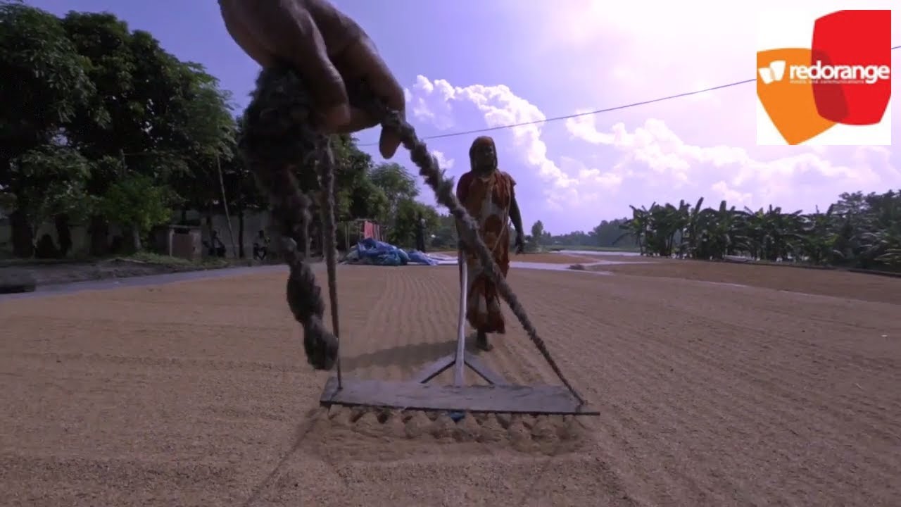 A Grain of Pride- lessons learnt from the scaling-up Rice Fortification Initiative.