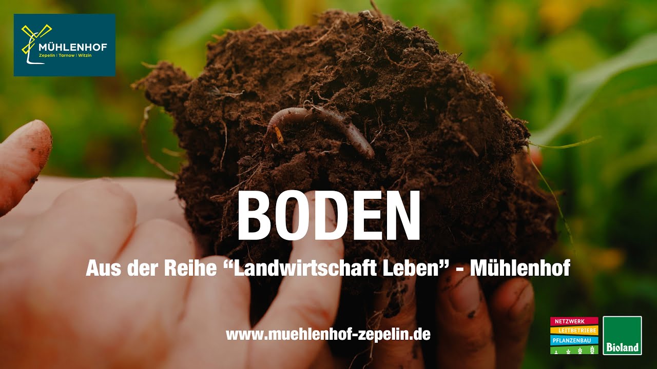 Boden - Landwirtschaft Leben - M&uuml;hlenhof Zepelin | Tarnow | Witzin