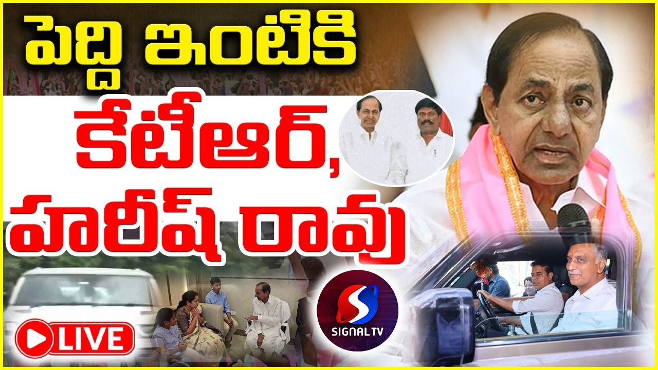 🔴 LIVE : KTR & Harish Rao to Attend Peddi Sudarshan Reddy Memorial Meeting in Nallabelli | Signal TV