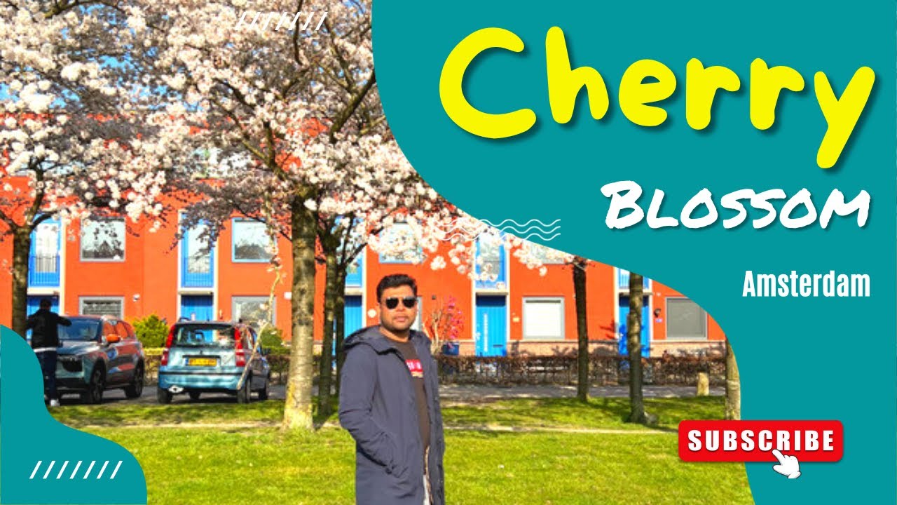 Cherry Blossom of Netherlands 2022 | Sakura | Couple Vlogger in Netherlands
