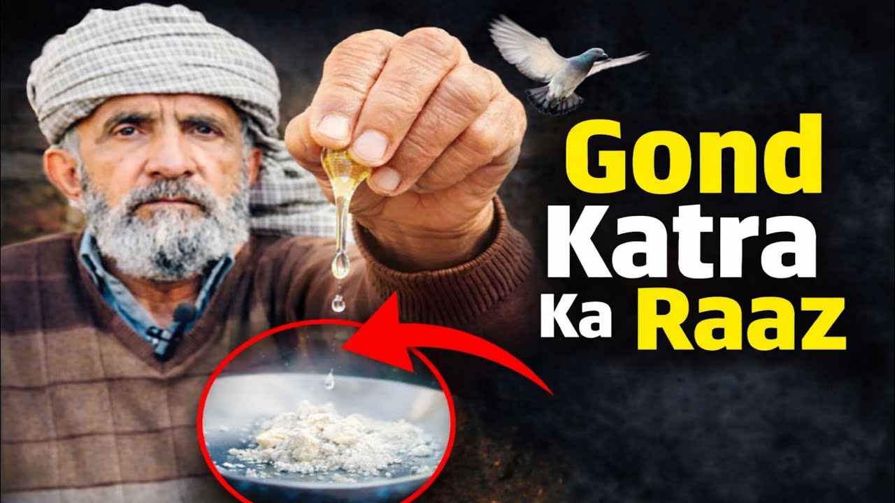 Aaj Tak Koi Ustad Nahi Batata Tha | Kabootar Parwaz Ki Goli Me Gond Katra | Real Desi Formula 