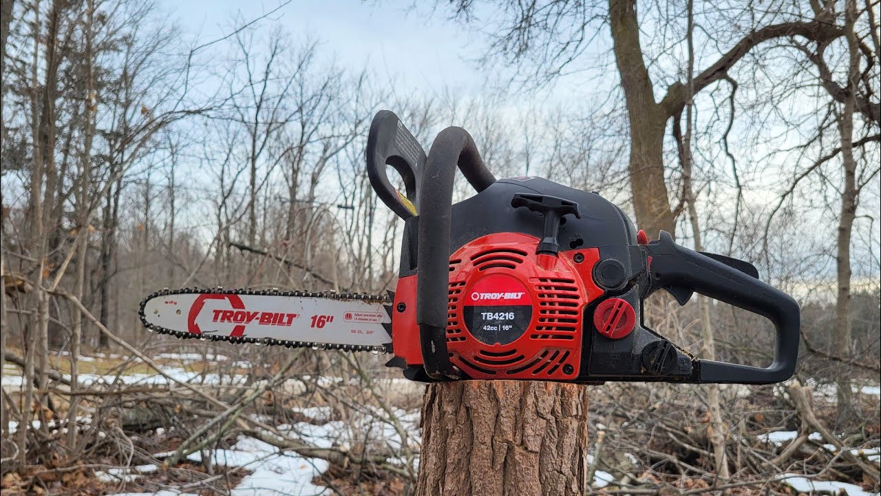 Chainsaw Time #27  (02/18/2026)  Sawing By The Corner Of The Farm