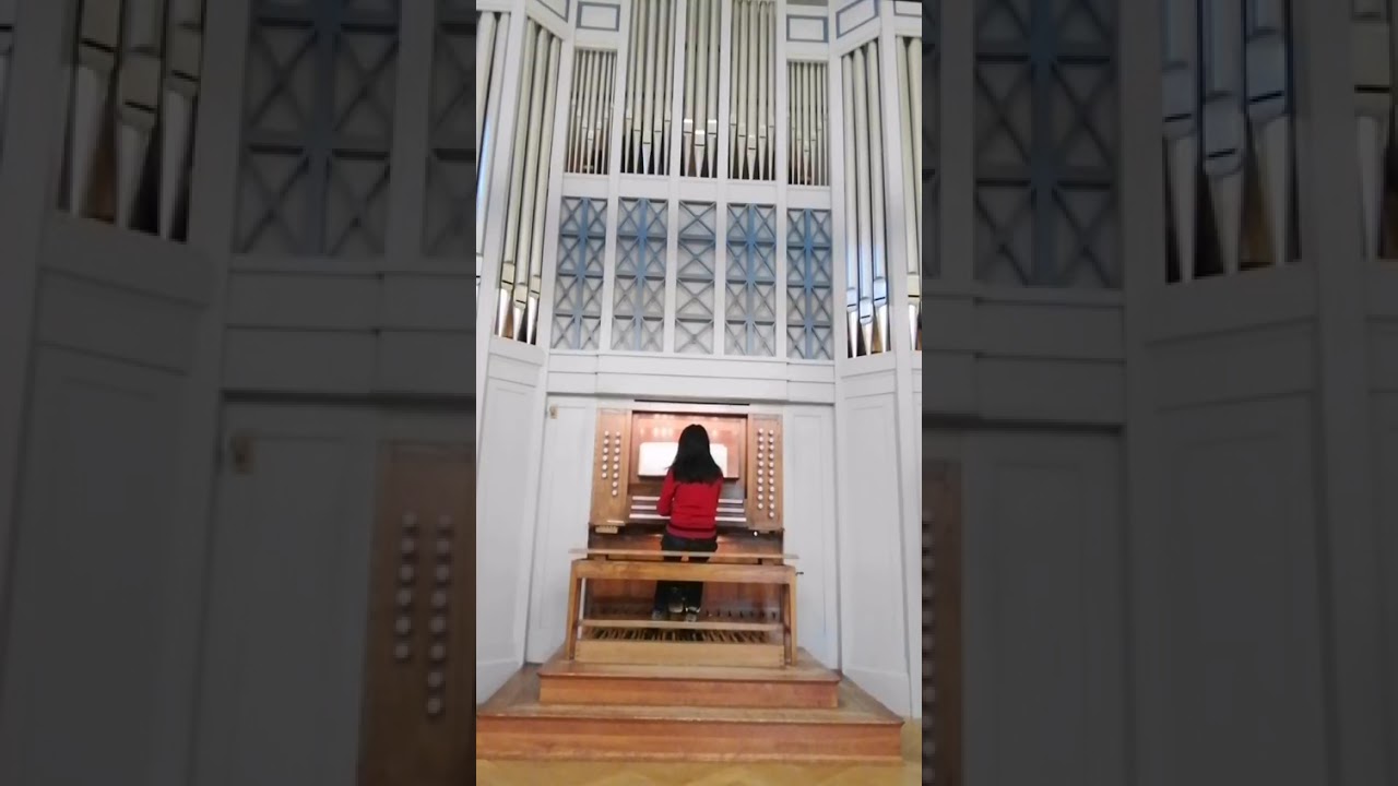 Bach trio sonata 5 BMW 529