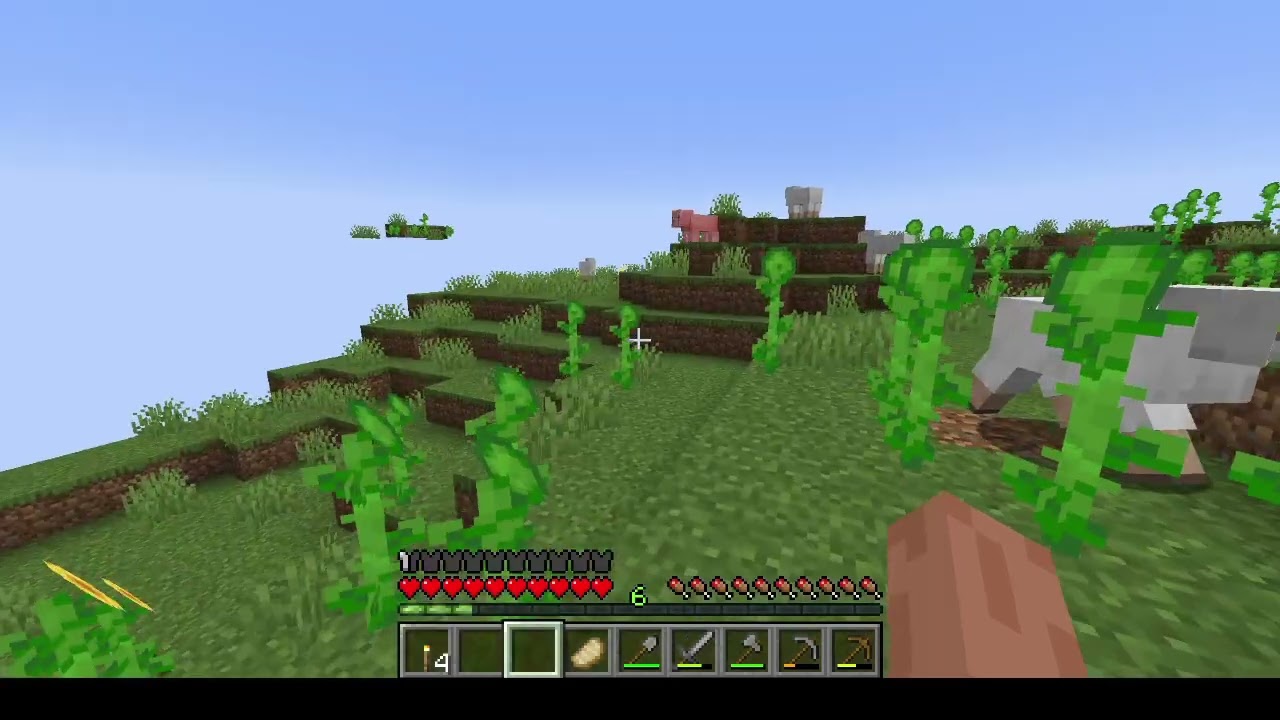 Survival Jakso 2