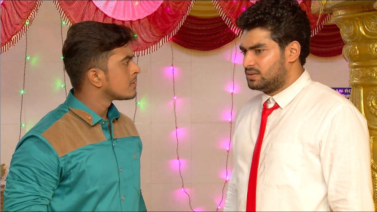 Priyamanaval Episode 253, 19/11/15