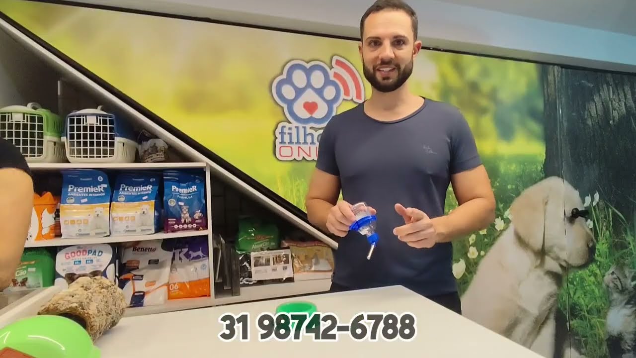 🐹 Guia Rápido de Cuidados com Hamsters - Filhotes On Line