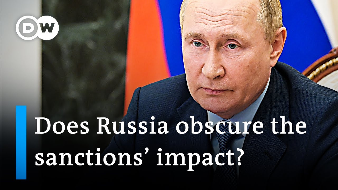 Study shows: Western sanctions take a heavy toll on Russia's economy | DW News