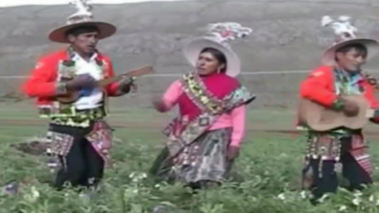 GRUPO LOS ORIGINARIOS DE QULLASUYU papita