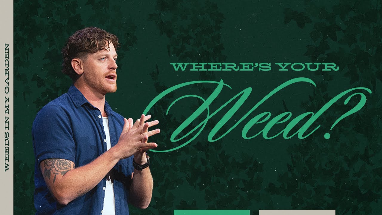 Weeds in My Garden | Where's Your Weed? | Jonathan Moynihan
