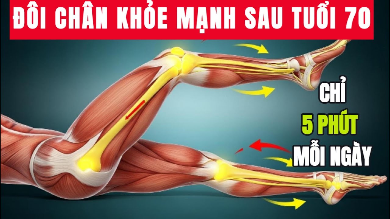 Sau 70 Tuổi? 3 Bài Tập Nhẹ Nhàng Giúp Chân Mạnh Hơn, Tim Ổn Định & Cơ Thể Sống Lại Năng Lực