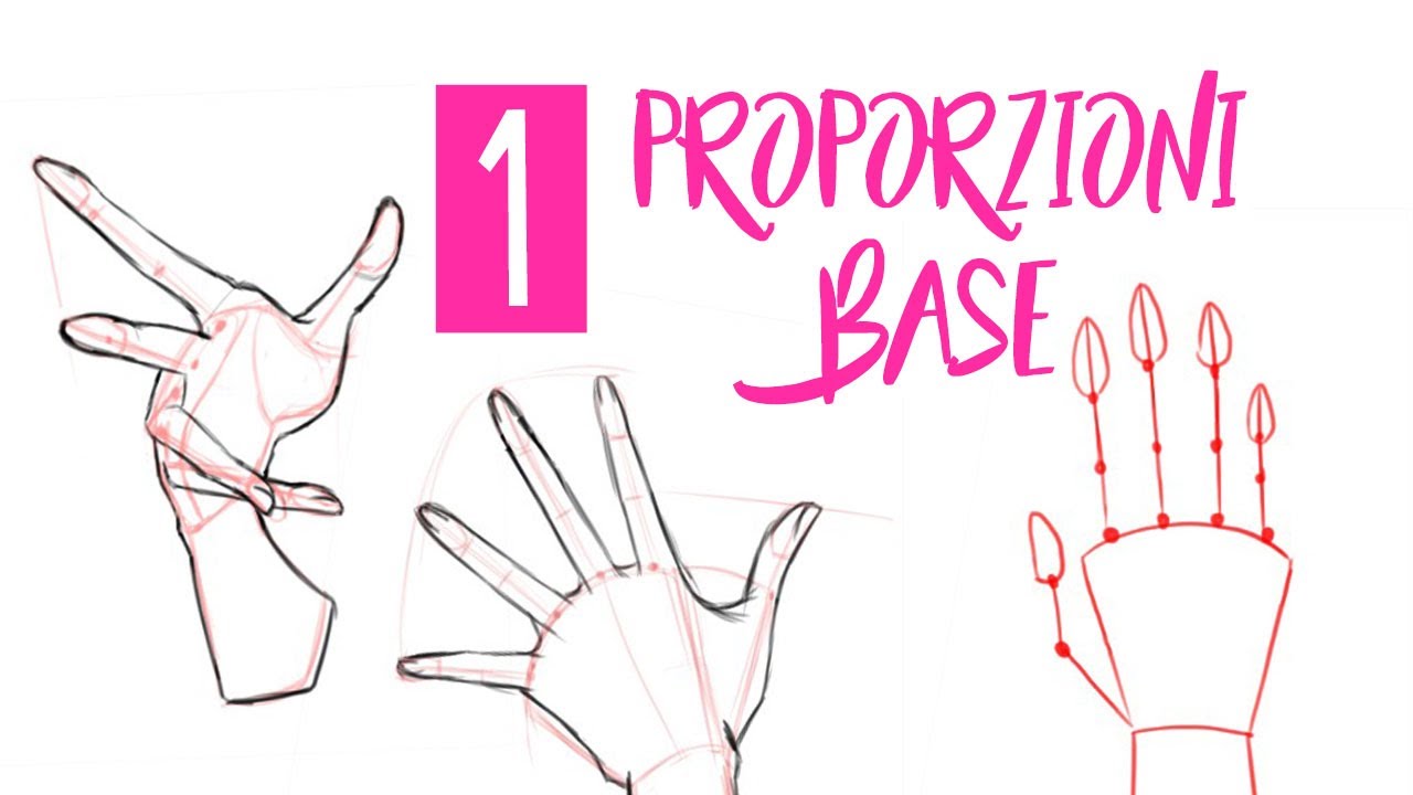Come disegnare le mani. Le proporzioni [parte 1]