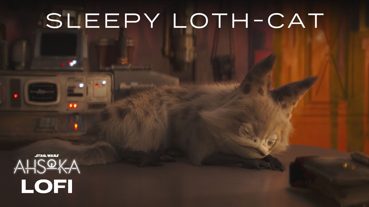 Sabine’s Loth-Cat | Star Wars Lofi | #Ahsoka