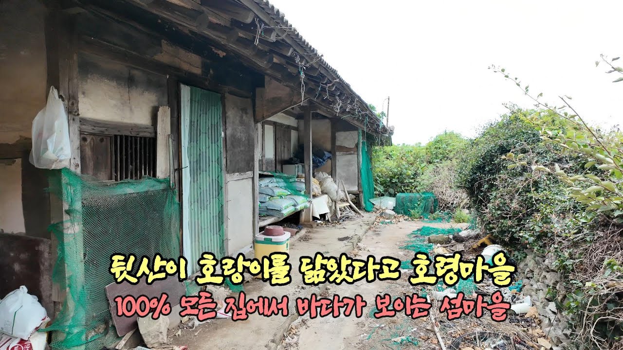 뒷산이 호랑이를 닮았다고 호령마을. 100% 모든 집에서 바다가 보이는 섬마을