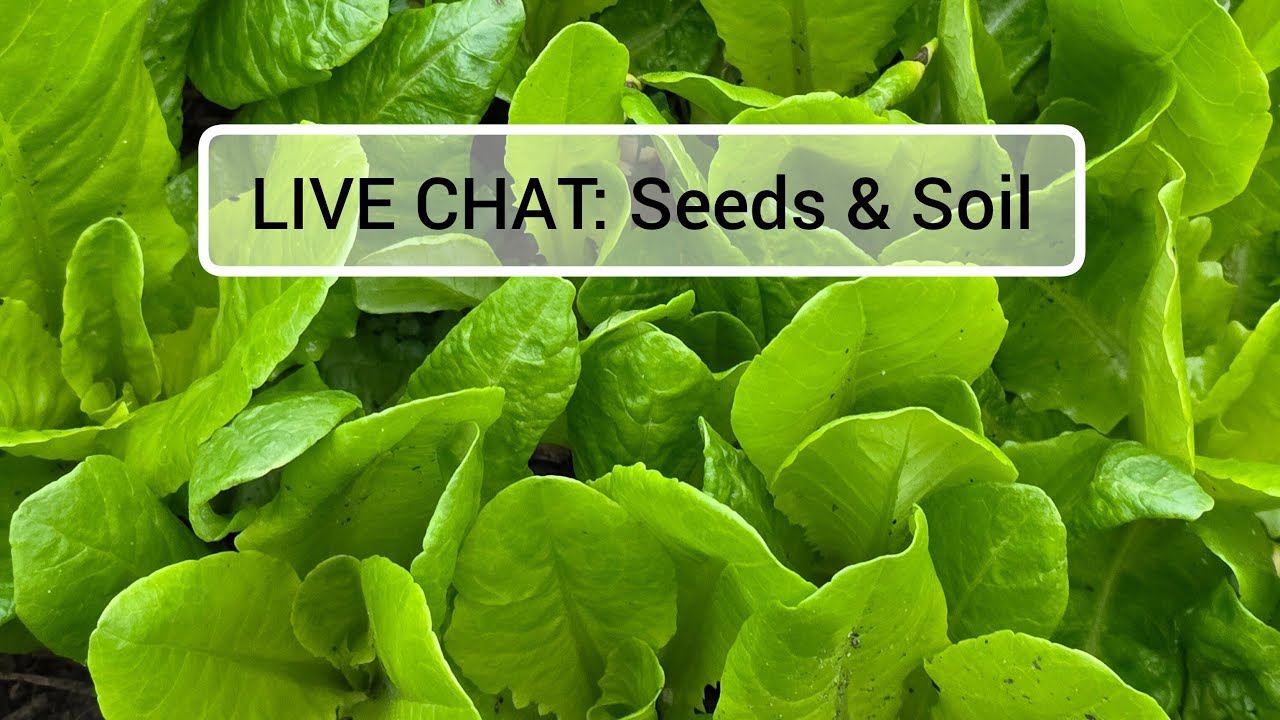 LIVE CHAT: Seeds & Soil