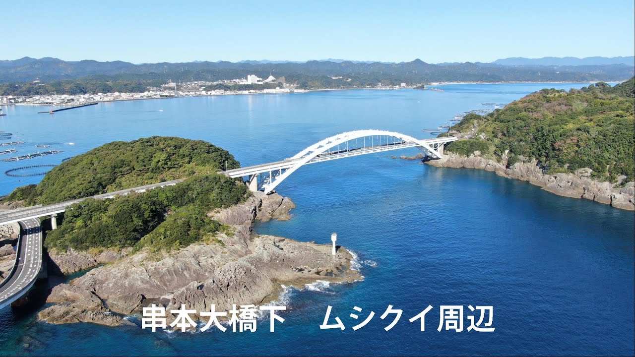 串本大橋下ムシクイ周辺