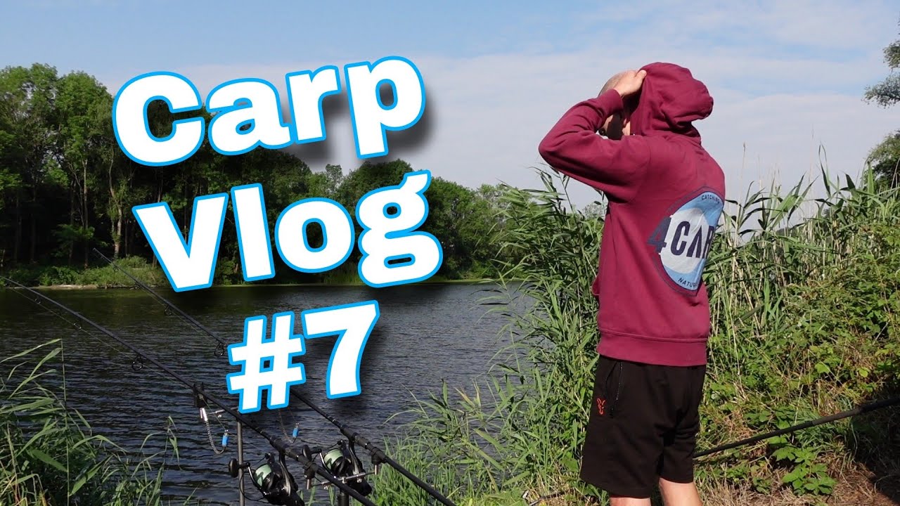 Carp Vlog #7 | Auf Flusskarpfen an der Mulde | Karpfenangeln am Fluss @4carpZ