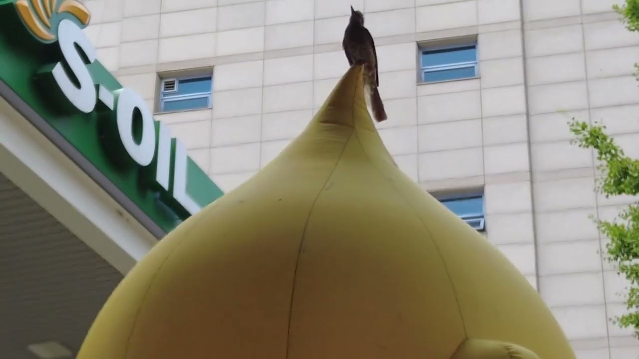 Walking through Dongguk University in Seoul
