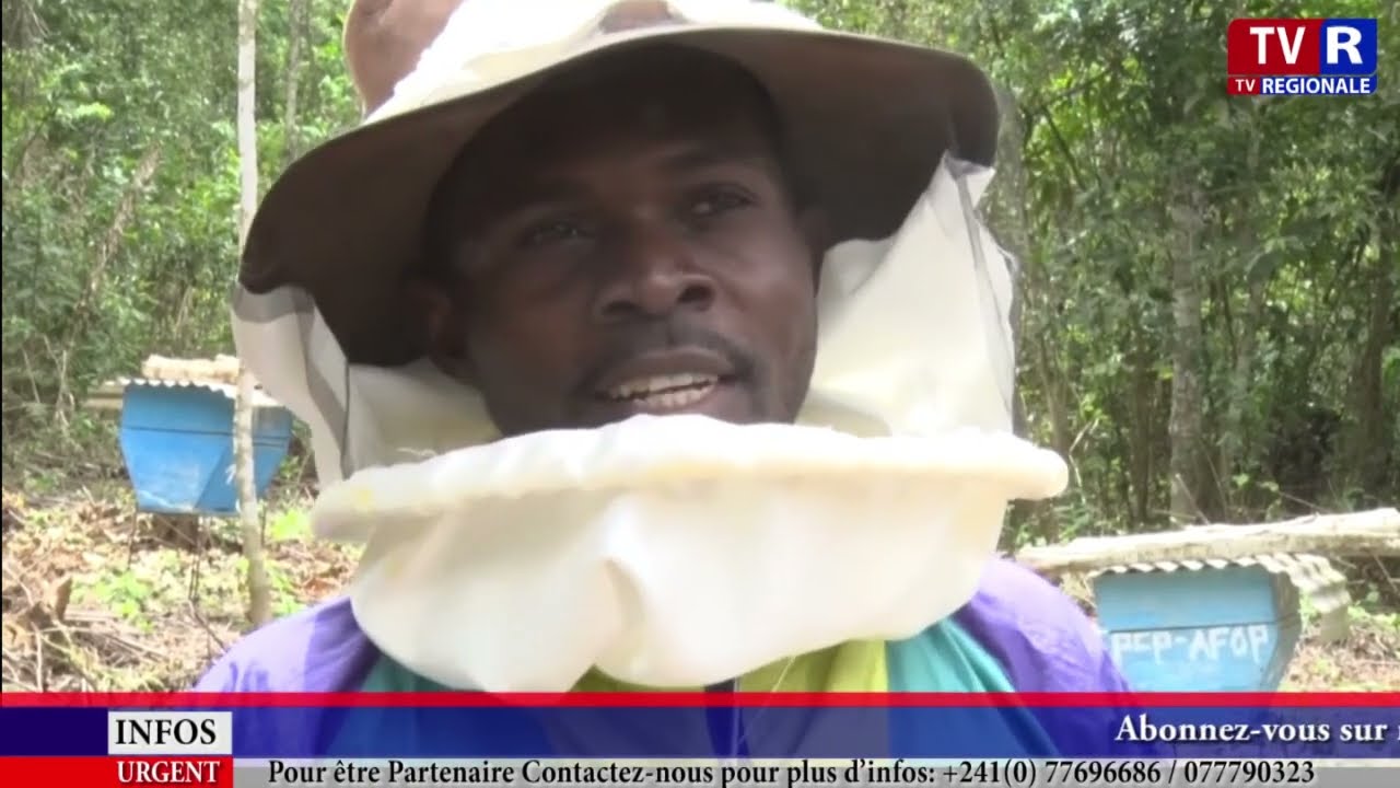 CAMEROUN / INCURSION DANS L'APICULTURE
