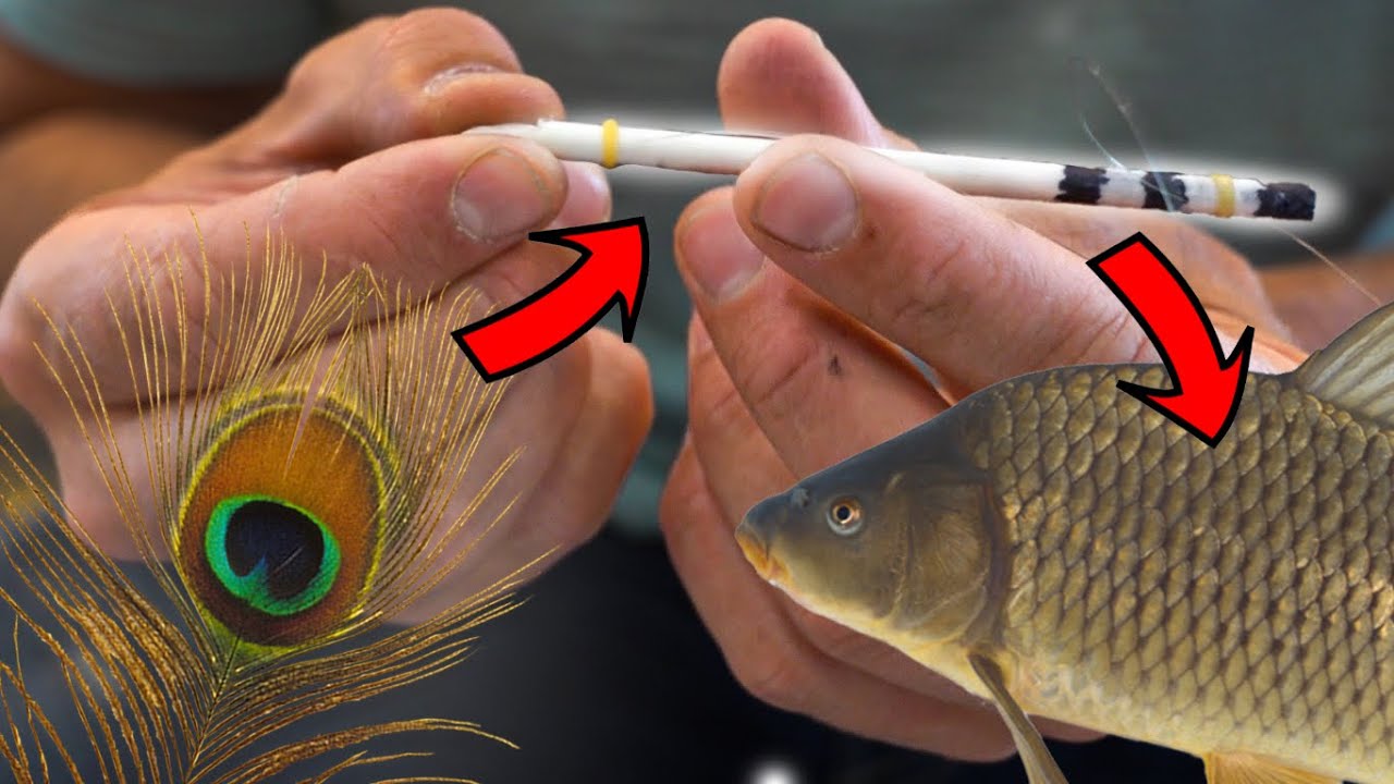 Stekkie - je eigen dobber maken: de pauwenpen!