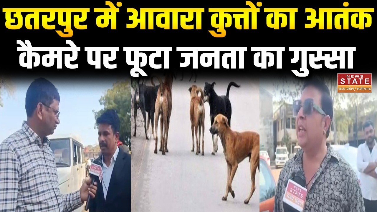 MP News: Chhatarpur में आवारा कुत्तों का आतंक, लोगों का फूटा गुस्सा | Dog Attack News |Latest News