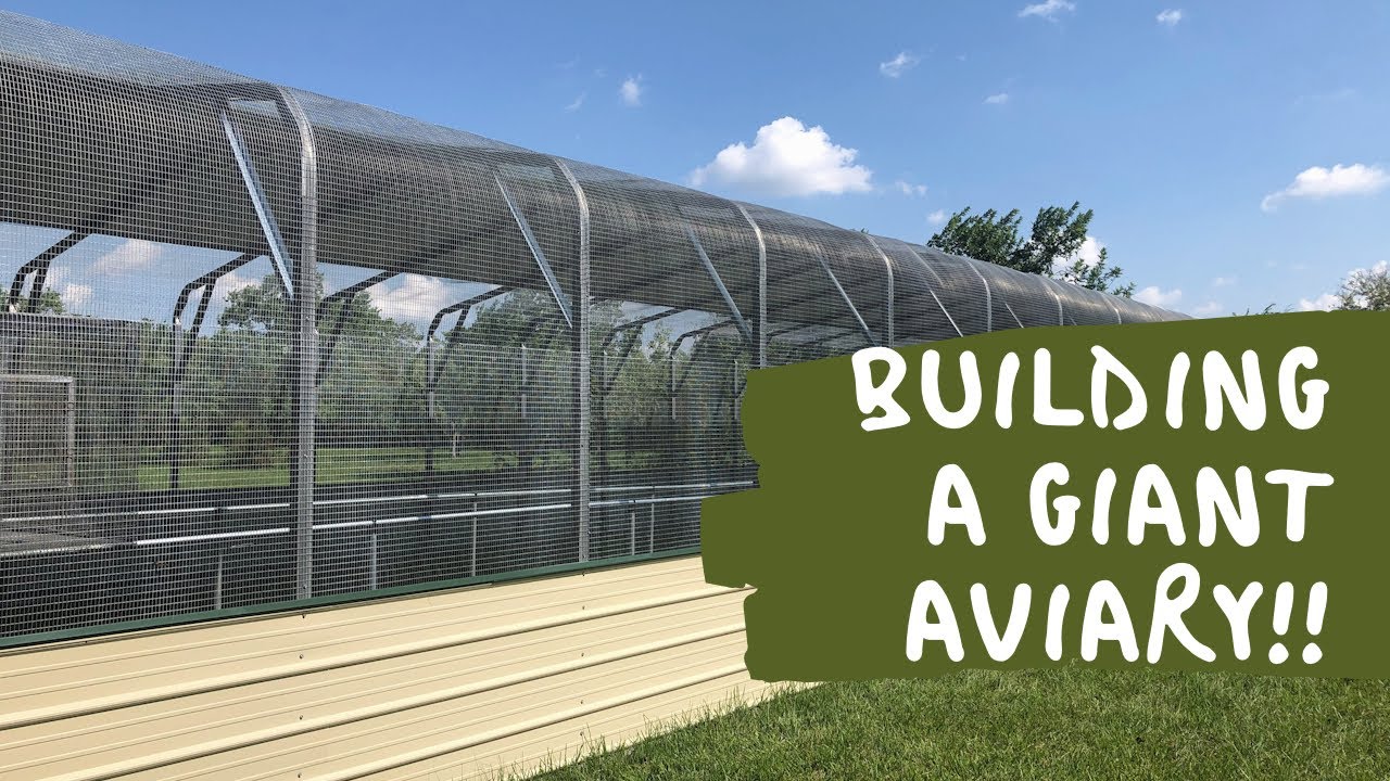 Building a 1500+ SF Aviary!