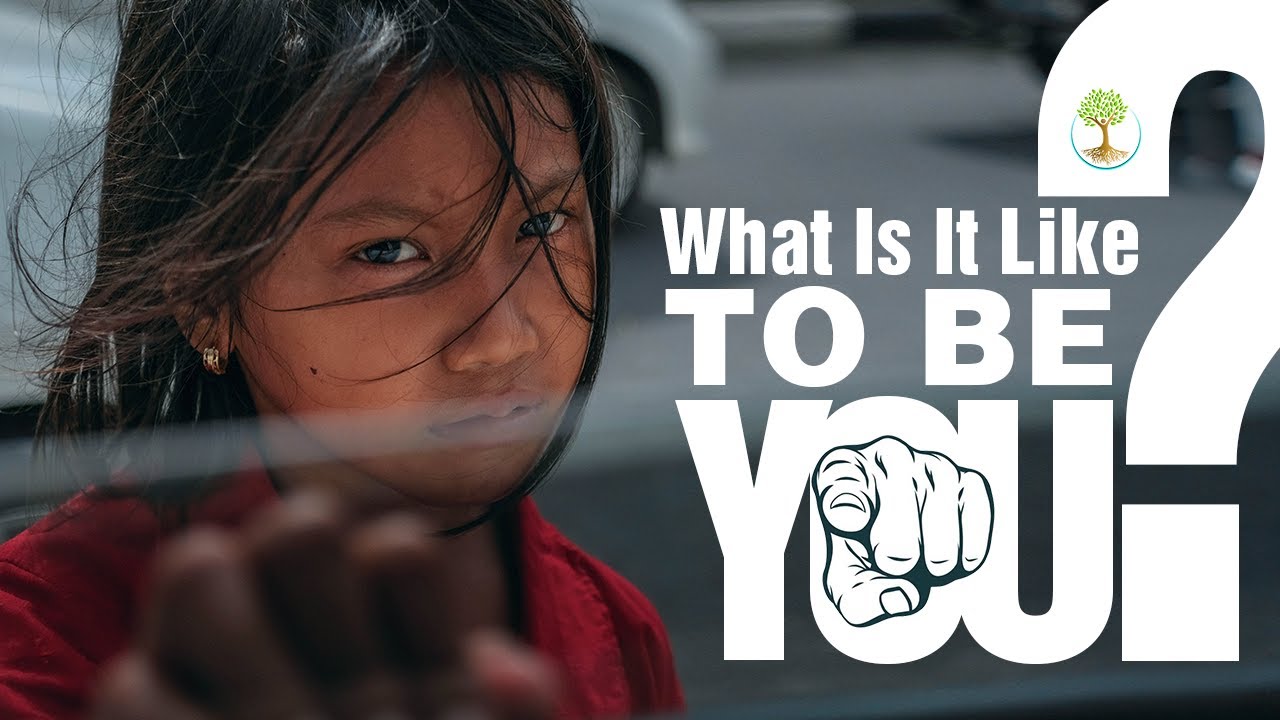 What Is It Like To Be You? | Charles Eisenstein