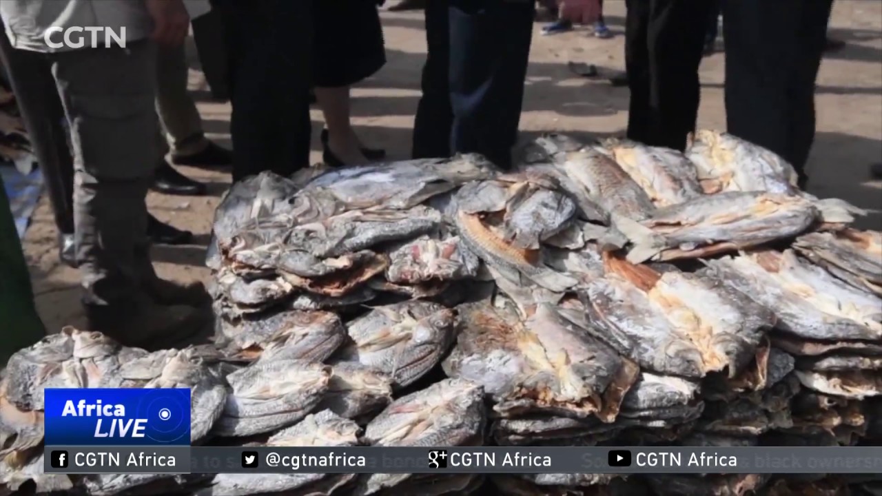 Women in Bor, South Sudan make a living in thriving fish market
